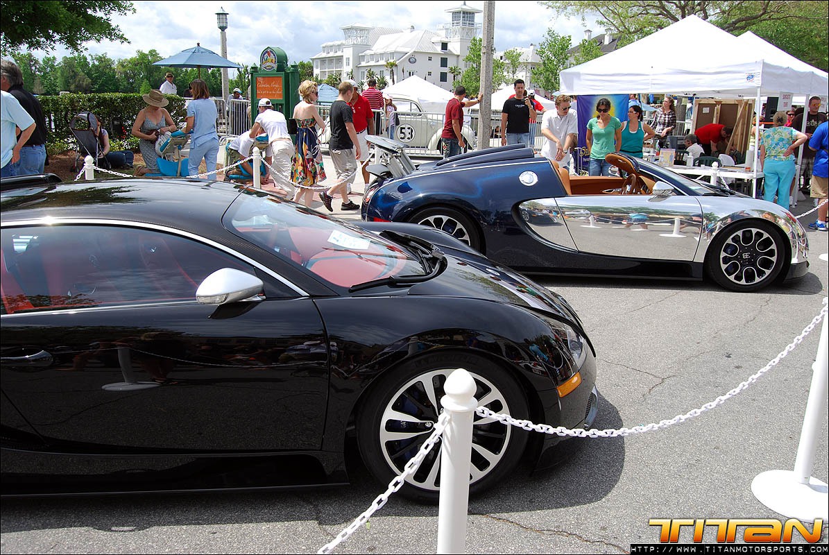 Celebration-Exotics-10-22