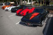 Celebration-Exotics-14-11