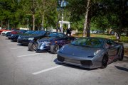Celebration-Exotics-14-12