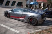 Celebration-Exotics-14-13