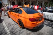 Celebration-Exotics-14-15