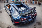 Celebration-Exotics-14-19