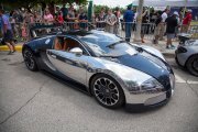 Celebration-Exotics-14-22