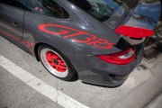 Celebration-Exotics-14-39