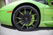 Celebration-Exotics-14-53