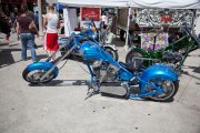 Celebration-Exotics-14-62